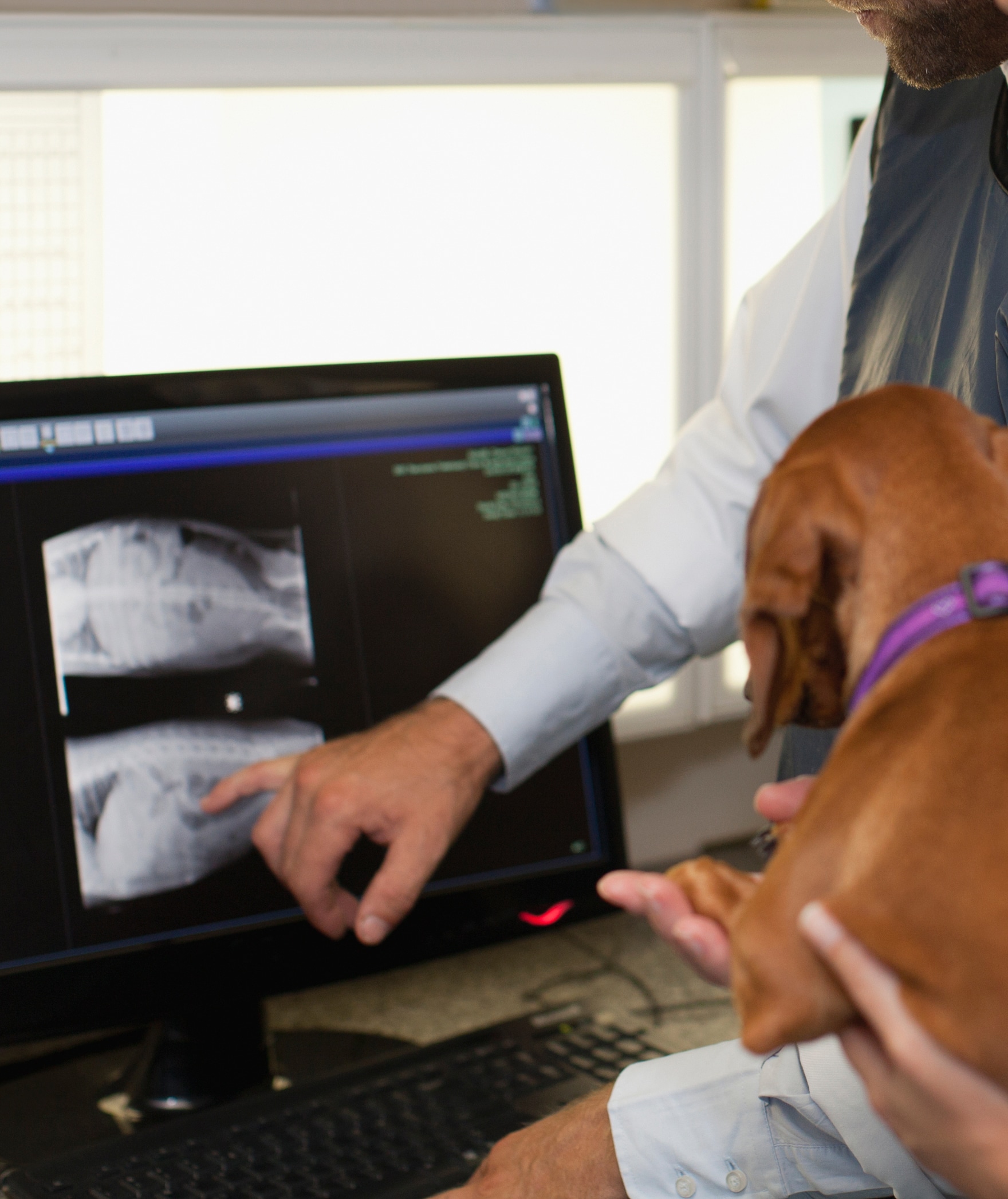 Digital X-Rays for Quick, Detailed Insights
