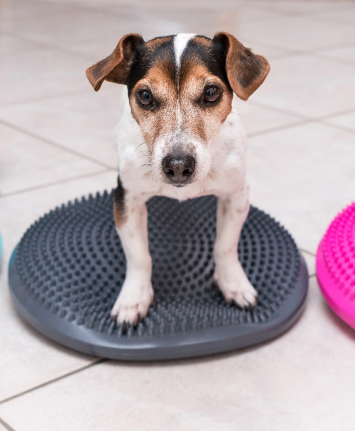 Integrative, Pain Management & Rehabilitation Services