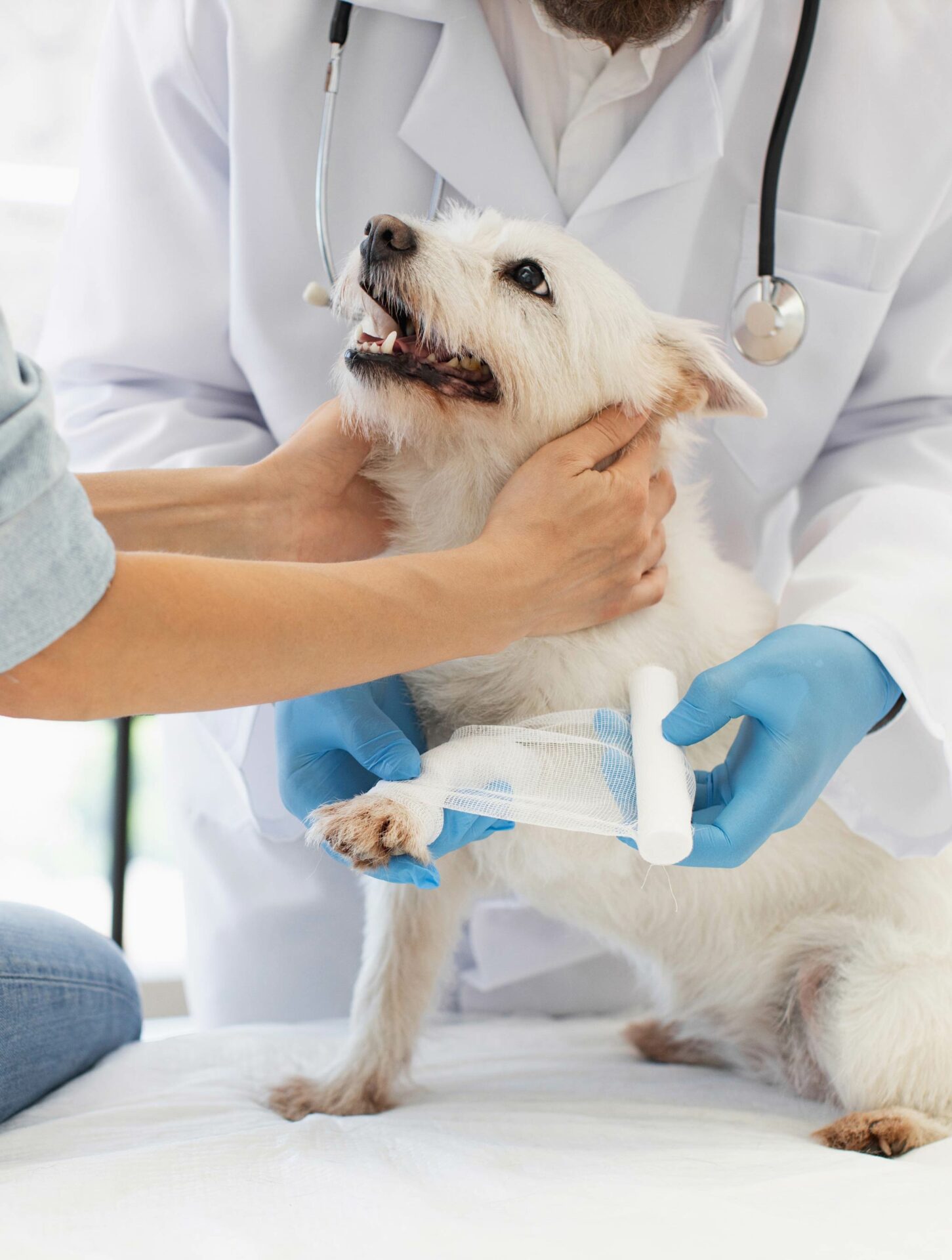Orthopedic Surgery