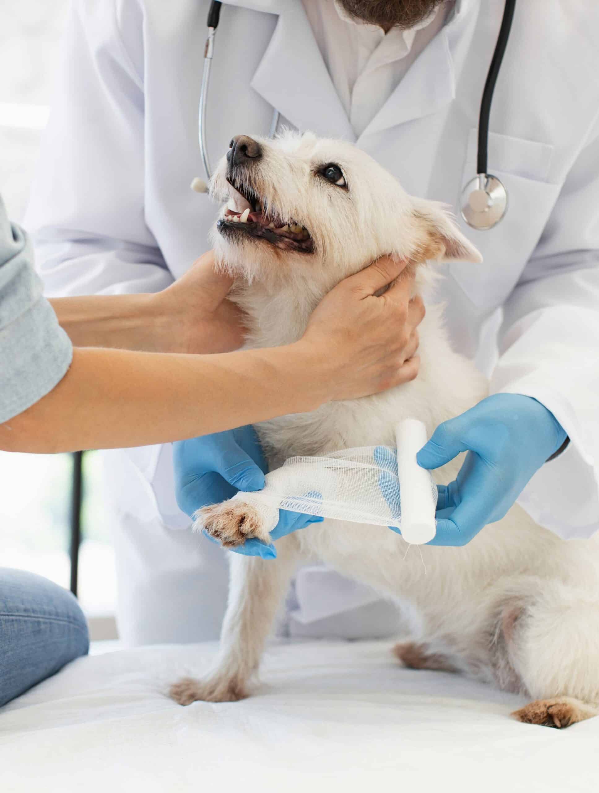 Orthopedic Surgery - Featured Image