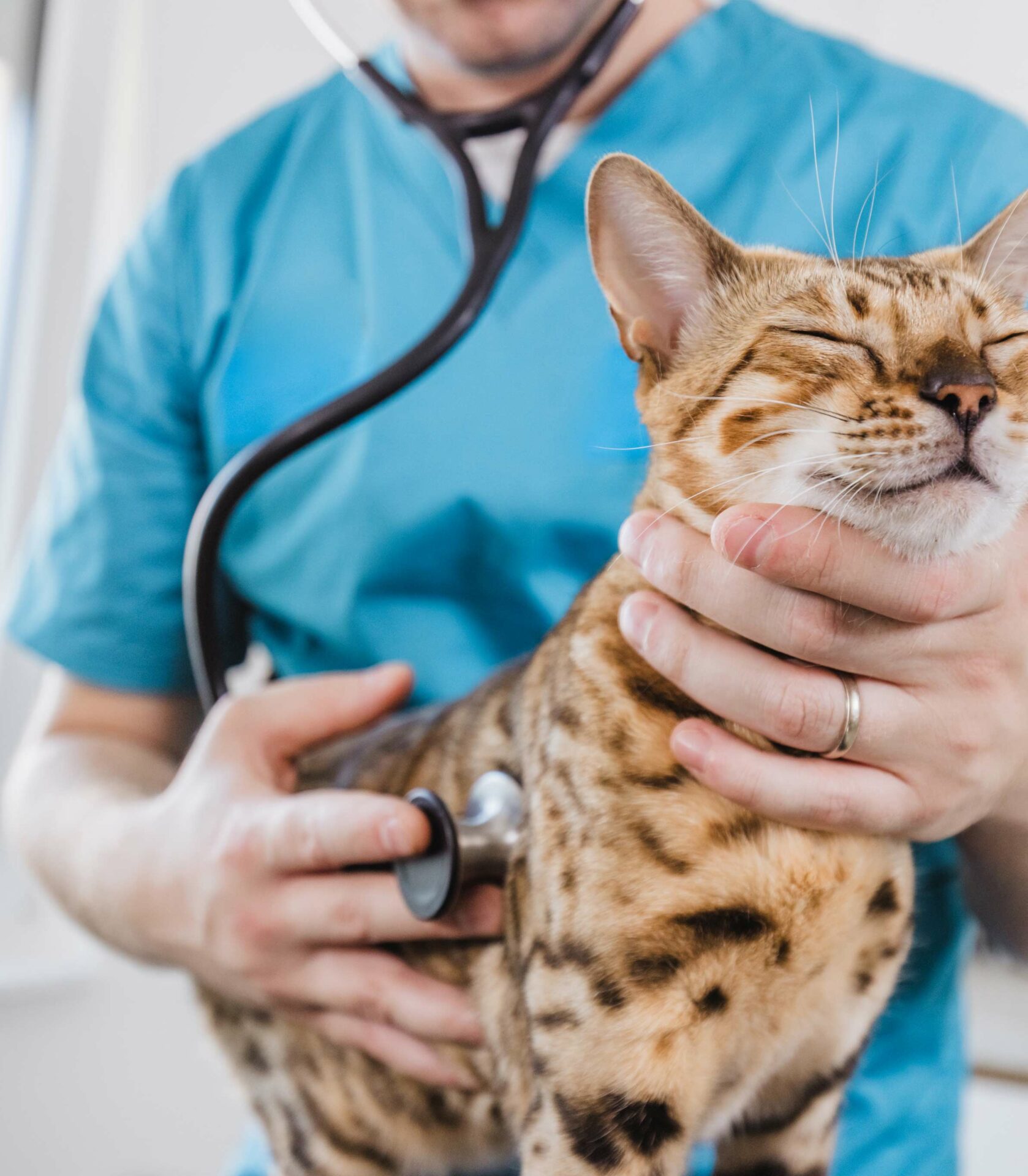 Wellness & Preventive Care