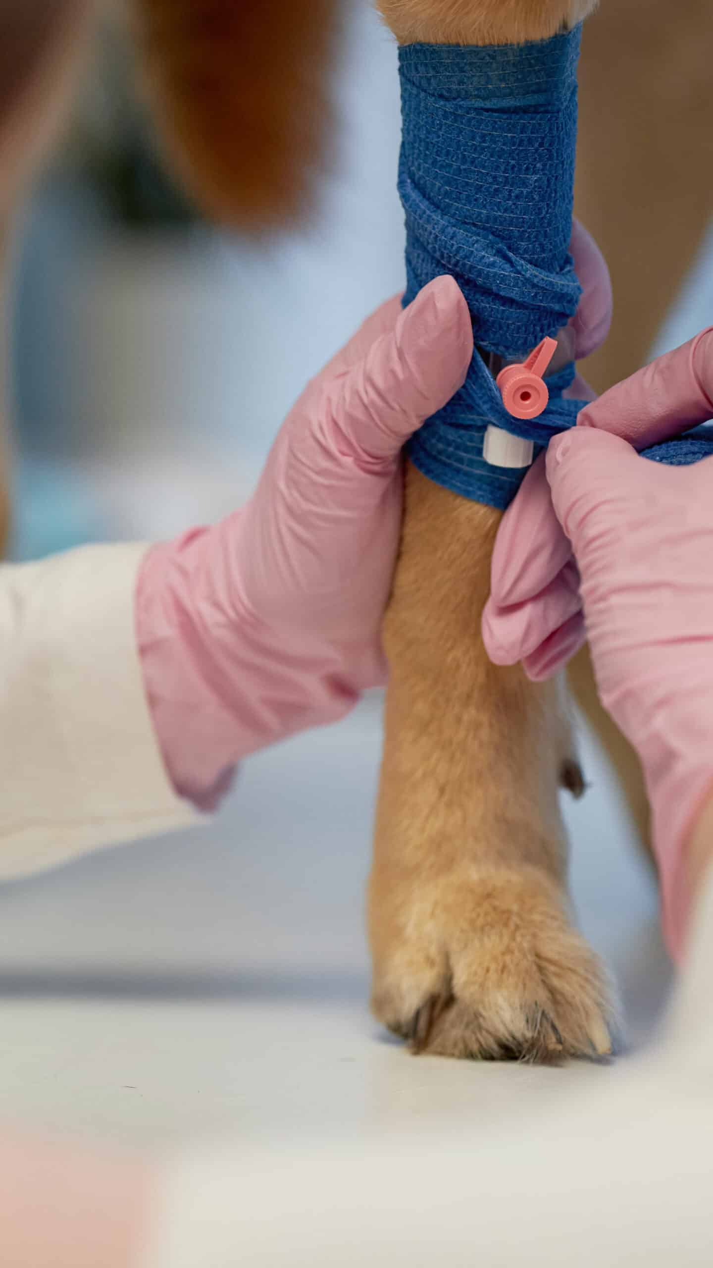 What to Expect During Treatment