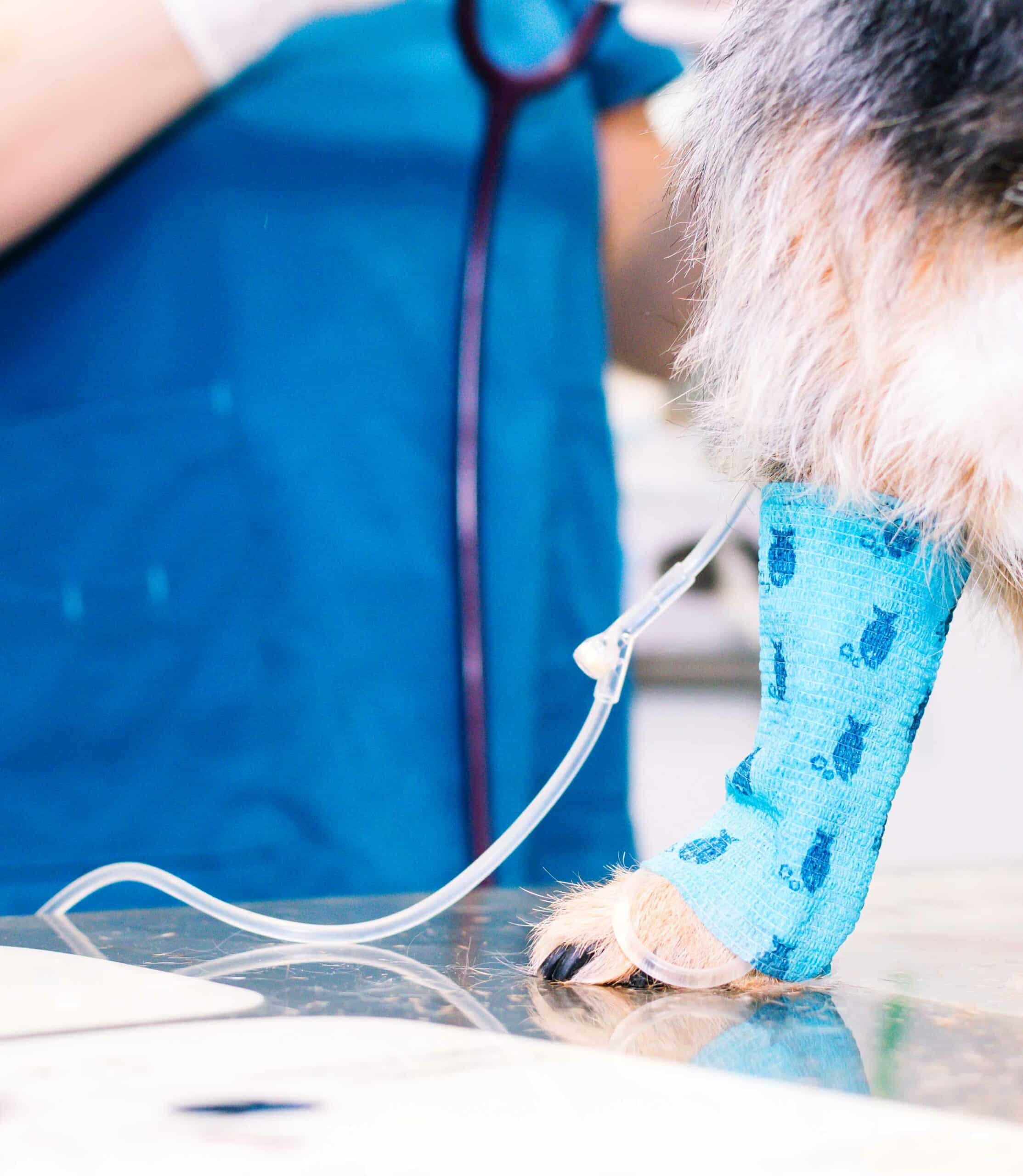 What to Expect During the Surgical Process